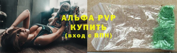 прущие крисы Бородино