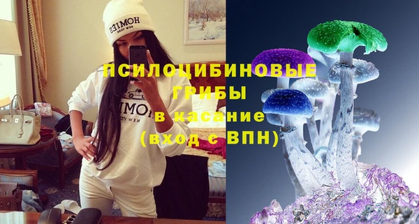 бошки Богородск